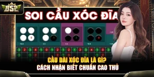 Cầu Dài Xóc Đĩa Là Gì? Cách Nhận Biết Chuẩn Cao Thủ